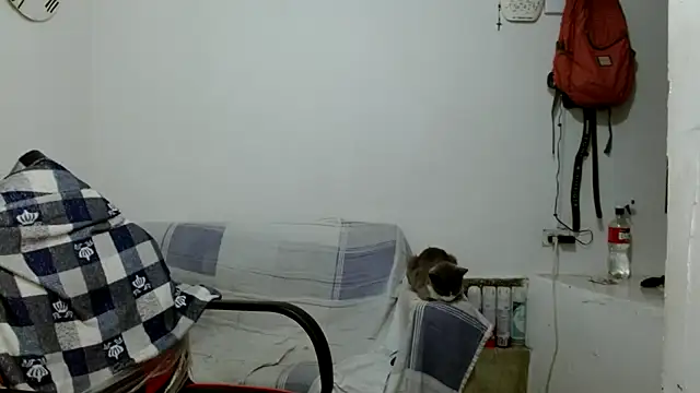 angelamarie1 online show from 10-18-25, 12:06