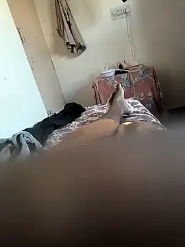 Mallupaiyanaachu online show from 02-05-25, 02:08