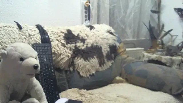 SexySantaC online show from 12-16-25, 09:09