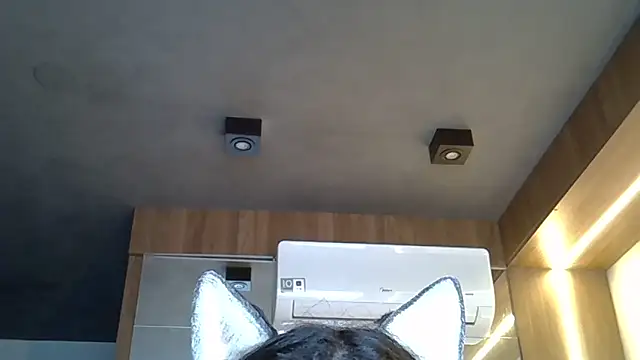 Skinny-Kitten online show from 11-01-25, 09:33