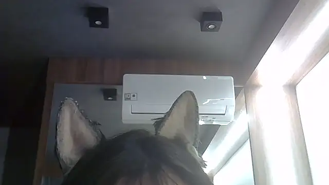 Skinny-Kitten online show from 02-05-26, 09:41