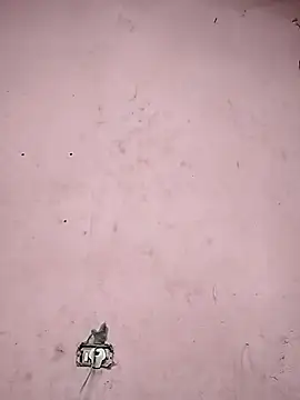 Sliced Digit online show from 03-09-25, 10:41