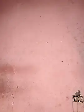 Sliced Digit online show from 03-12-25, 10:28