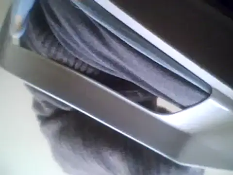 Snapshot of bestofyalcinturkey chatting on 03-03-25, 08:38 bestofyalcinturkey online show from 03-03-25, 08:38