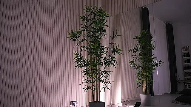 Abbela White online show from 01-23-25, 09:39