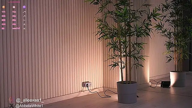 Abbela White online show from 01-27-25, 09:23