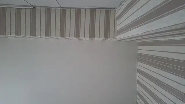 Snapshot of lily__foster chatting on 09-22-25, 05:42 lily foster online show from 09-22-25, 05:42