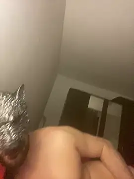 Tomhot3869 online show from 03-18-25, 08:04