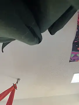 Terrafirma online show from 01-27-25, 04:11