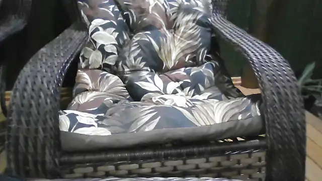 Kellynha Sweet online show from 12-21-25, 01:13