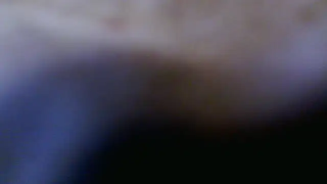 Taylorsexbot online show from 04-17-26, 11:46