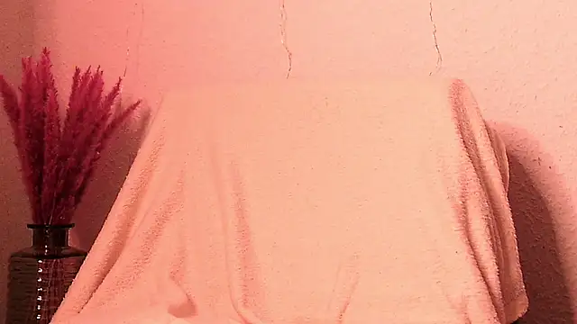 Snapshot of SecretAnni chatting on 01-01-25, 06:16 SecretAnni online show from 01-01-25, 06:16