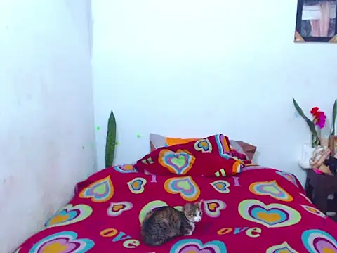 Snapshot of The_wickles_4443 chatting on 02-14-25, 04:09 The wickles 4443 online show from 02-14-25, 04:09