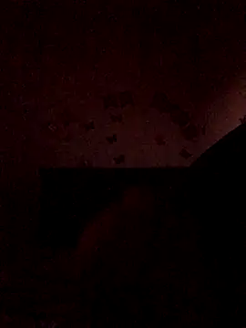 Snapshot of The_wickles_4443 chatting on 11-22-25, 11:04 The wickles 4443 online show from 11-22-25, 11:04