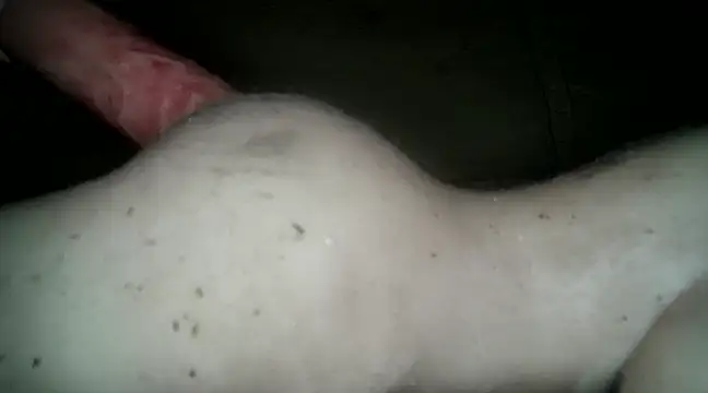 xxxlecram online show from 03-14-25, 06:07