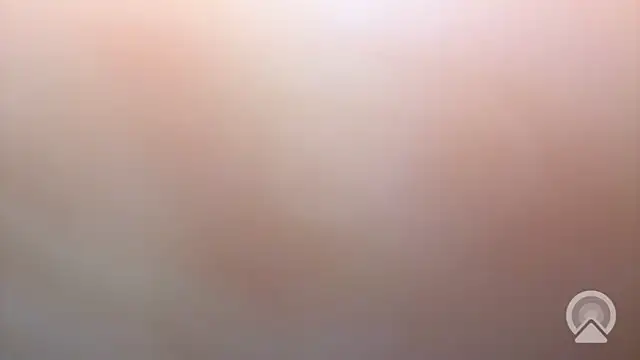 Aulonocara86 online show from 12-17-25, 06:52