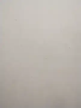 Shuttii 25 online show from 02-10-25, 09:14