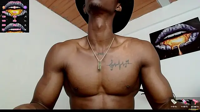 drake brwon 23 online show from 02-19-25, 08:55