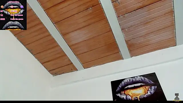 drake brwon 23 online show from 02-19-25, 12:00