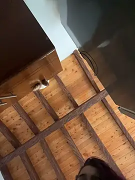 Alicia Ruiz online show from 12-12-24, 09:04