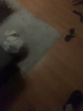 chrille82 online show from 11-21-25, 06:06