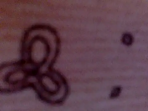 soniasharma0223 online show from 02-17-25, 05:47