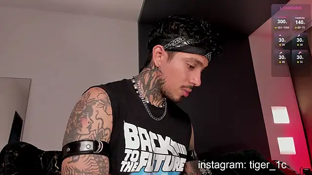 Snapshot of TigerStripes1_ chatting on 12-11-24, 11:54 TigerStripes1 online show from 12-11-24, 11:54