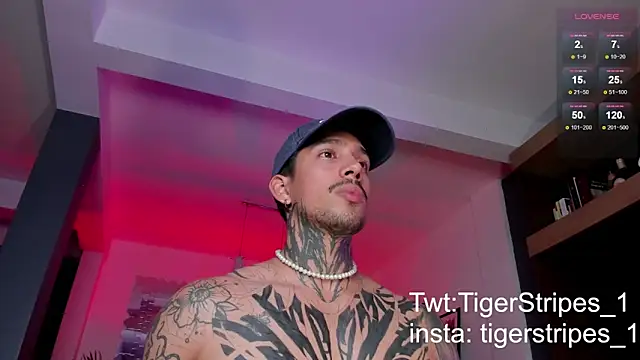 Snapshot of TigerStripes1_ chatting on 03-03-25, 11:46 TigerStripes1 online show from 03-03-25, 11:46