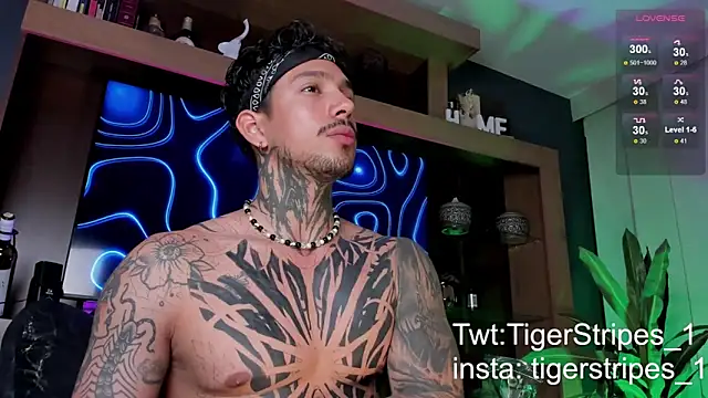 Snapshot of TigerStripes1_ chatting on 03-09-25, 12:31 TigerStripes1 online show from 03-09-25, 12:31