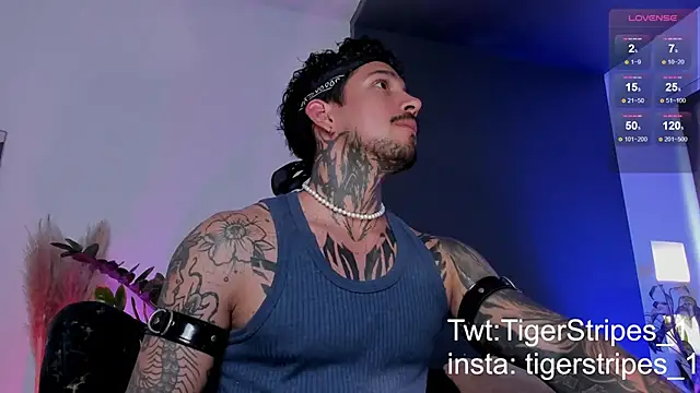 Snapshot of TigerStripes1_ chatting on 03-19-25, 08:54 TigerStripes1 online show from 03-19-25, 08:54