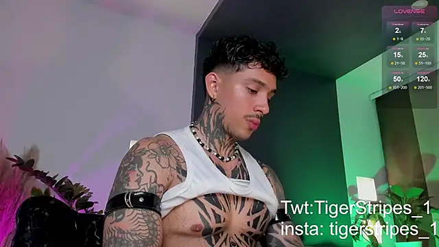 Snapshot of TigerStripes1_ chatting on 03-22-25, 12:39 TigerStripes1 online show from 03-22-25, 12:39