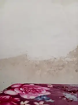 Snapshot of 09punjabi chatting on 12-19-24, 11:07 09punjabi online show from 12-19-24, 11:07