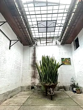 oliver price1 online show from 09-26-25, 07:07