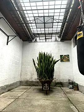 oliver price1 online show from 10-15-25, 07:14