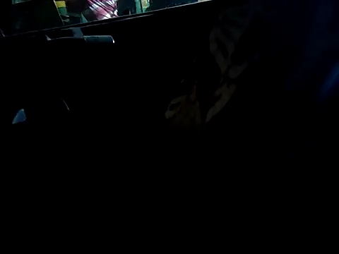 Kolkata   Boy online show from 09-16-25, 04:52